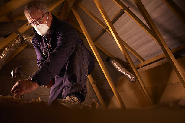 Best Home Insulation Services  in Ewa Gentry, HI